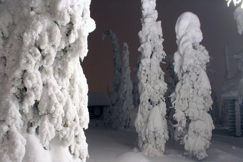 Kelokoto Chalets Rukatunturi Экстерьер фото